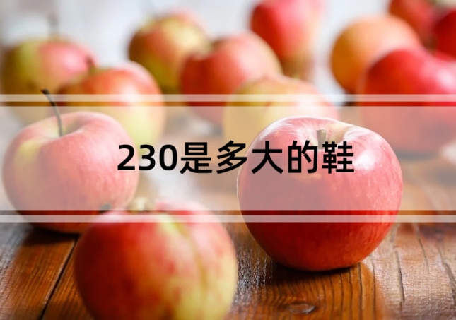 230是多大(dà)的鞋